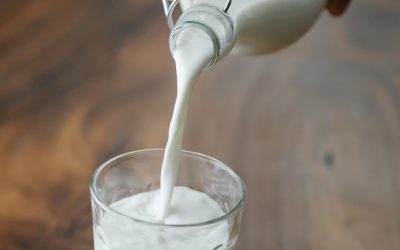 Le Lait : Un Aliment Riche en Nutriments